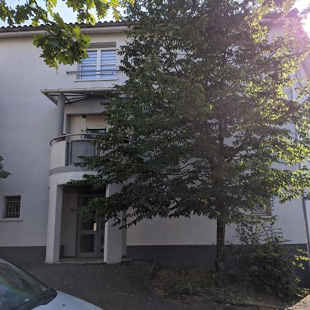 T3 A Merignac, Cosy Et Bien Decore Eksteriør bilde